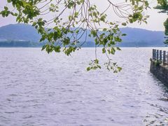 -无锡蠡湖国家湿地公园-蠡园