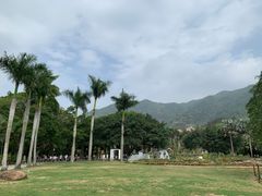 -深圳仙湖植物园