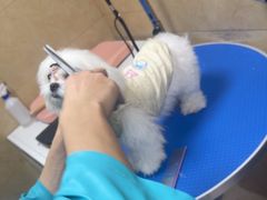 -佳雯宠物医院·皮肤科·内外科(春晓路分院)