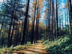 -莫干山风景区