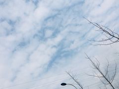 -三圣花乡旅游区