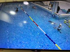 -乐悠游亲子游泳俱乐部