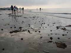 -碣石宫遗址
