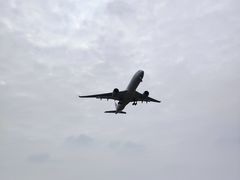 -空港花田景区