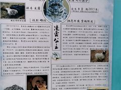 -青藏高原野生动物园