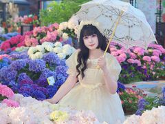 -上海鲜花港