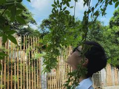 -南山植物园