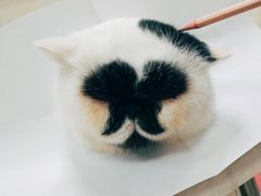 -聂师傅油焖大虾