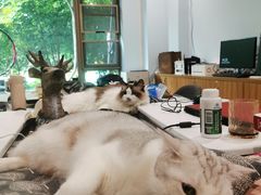 -咖法森林·咖啡  酒吧(天河店)