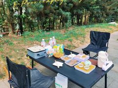 -铁山坪森林公园