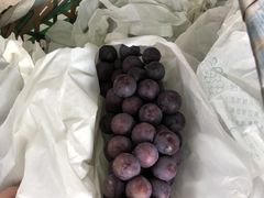 -马陆小张葡萄园农家乐