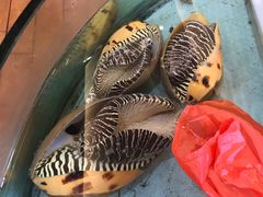 -钱山海鲜大排档