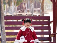 -武汉紫薇都市田园