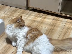 -听TA说宠咖·宠物生活馆(天韵水岸店)