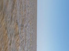 -碧海金沙
