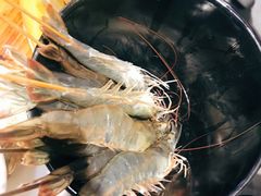 基围虾-捞围鲜·港式打边炉(海阳路店)