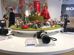 -Sony Store 索尼(上海淮海中路店)