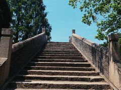 -枫桥夜泊