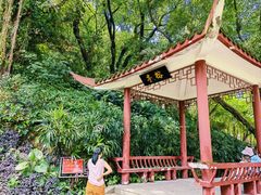 -乌山风景区