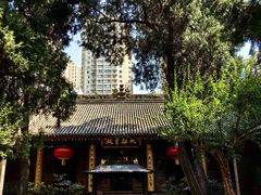 -罔极寺