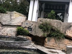 -海口观澜湖火山温泉谷
