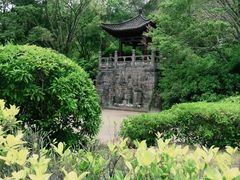 -深圳国际园林花卉博览园