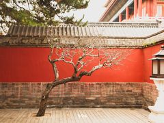 -故宫博物院(故宫)