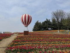 -泰山天颐湖旅游度假区