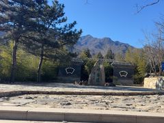 -阳台山自然风景区