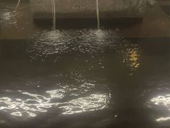 -深业半汤御泉庄温泉