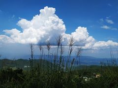 -武陵山森林公园