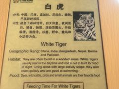-麒麟中餐厅·经典粤菜·地道菜式老字号(广州长隆酒店)