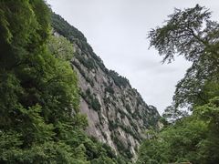 -青峰峡国家森林公园