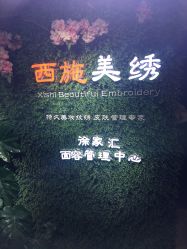-西施无菌半永久纹绣眉眼影唇轻增发纹发际线
