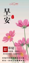 -香薇妮丝女子减肥院