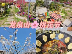 -桃源山庄·水蜜桃采摘·柴火鸡·烧烤团建(龙泉山店)