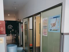 -伟伟宠物医院·瑞派猫友好医院·猫科(光谷店)