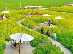 -中国天府农业博览园