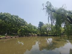 -瀛洲公园