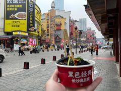 -黑色经典臭豆腐·湖南特产(坡子街店)