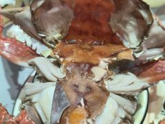 -渔民船说·北塘海鲜·天津菜·海肠捞饭(北塘古镇店)
