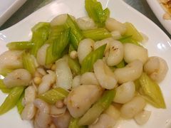 西芹百合-大鸿运酒店·苏州菜·松鼠桂鱼(观前街店)