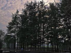 -月湖风景区