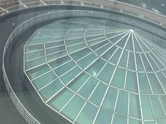 -南京维景国际大酒店(南京博物院店)