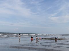 -东海岛旅游度假区