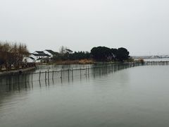 -鹅湖玫瑰文化园