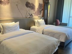 -清远熹乐谷温泉度假酒店