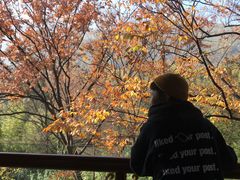 -天目湖御水温泉·度假酒店