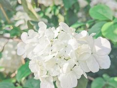 -杭州城北体育公园