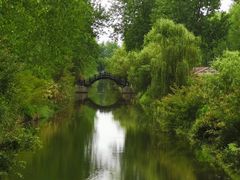 -合肥滨湖国家森林公园